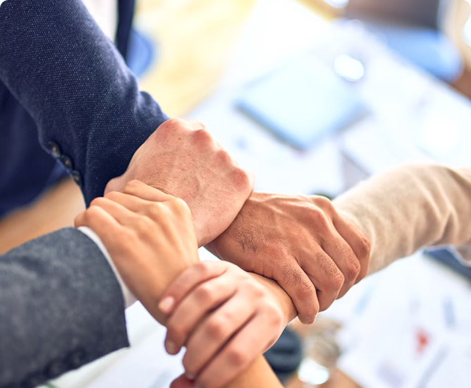 Trusted by Leading Brands and Institutions